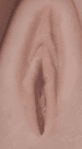 No Color (Skin Tone) Labia