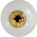 Yellow Eyes