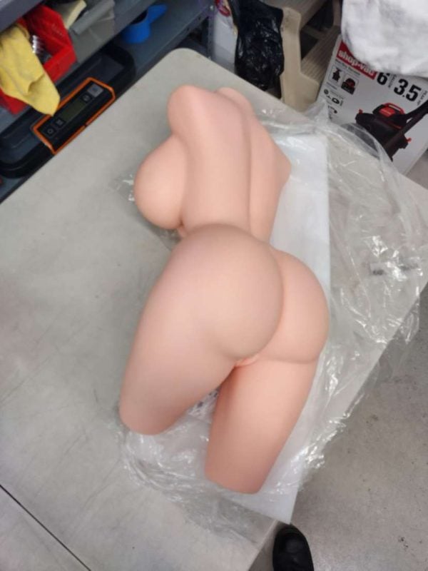 In Stock Aibei Doll Torso - Image 4