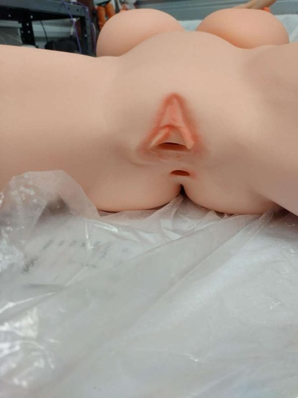 In Stock Aibei Doll Torso - Image 7