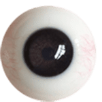 Brown Black