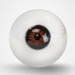 Brown Eyes with Veins