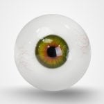 Green Eyes with Veins