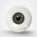 Grey-Green Eyes with Veins