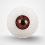 Light Brown Eyes with Veins