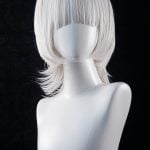 Wig #6