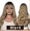 Wig #6