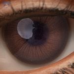 Eyes 21