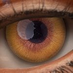 Eyes 27