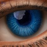 Eyes 28