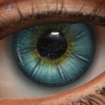 Eyes 1