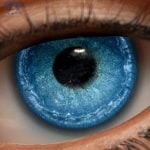 Eyes 14