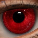 Eyes 15