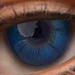 Eyes 19