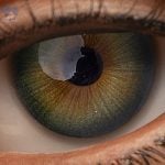Eyes 20