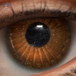 Eyes 3