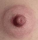 Tender Rosa Areolas and Labia